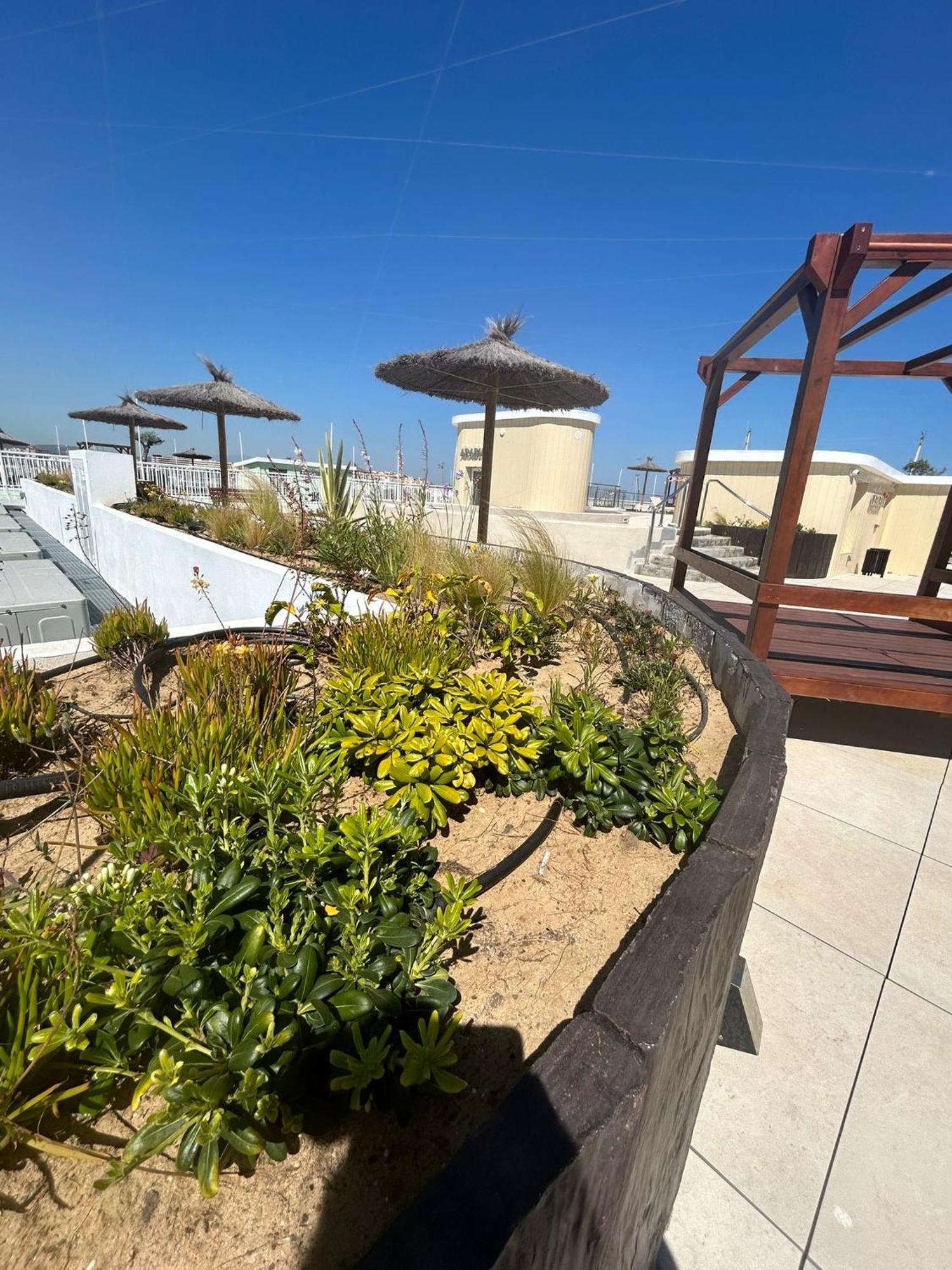 Marina Club Luxury Private Studio With Pool And Incredible Views غيبرالتار المظهر الخارجي الصورة
